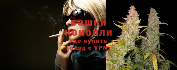 spice Беломорск