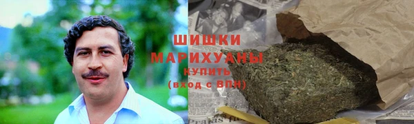гашик Белокуриха