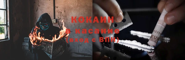 гашик Белокуриха