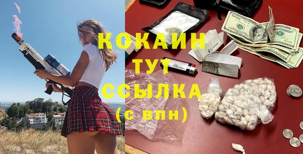 гашик Белокуриха