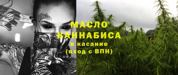 гашик Белокуриха