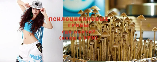 гашик Белокуриха