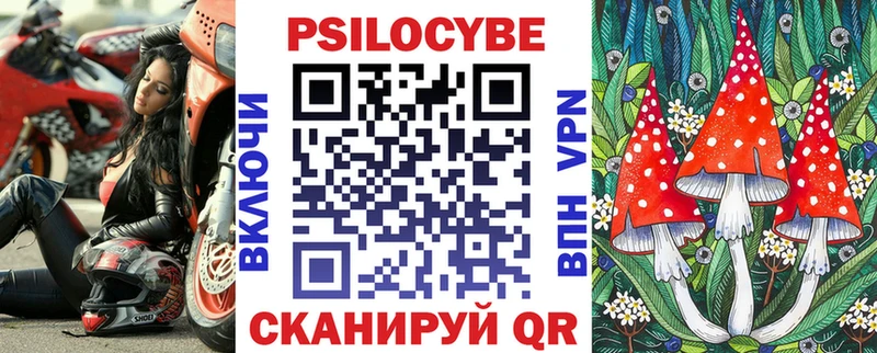 Купить где  Сибай  Псилоцибиновые грибы мицелий 